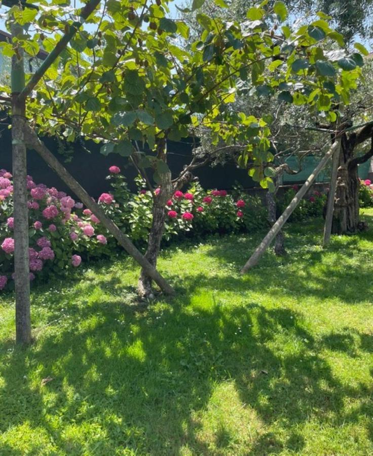 Verde House 2 ريفا ديل غاردا المظهر الخارجي الصورة